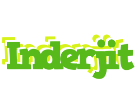 Inderjit picnic logo