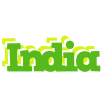 India picnic logo