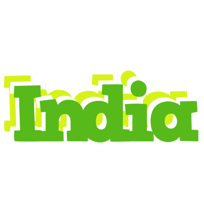 India picnic logo