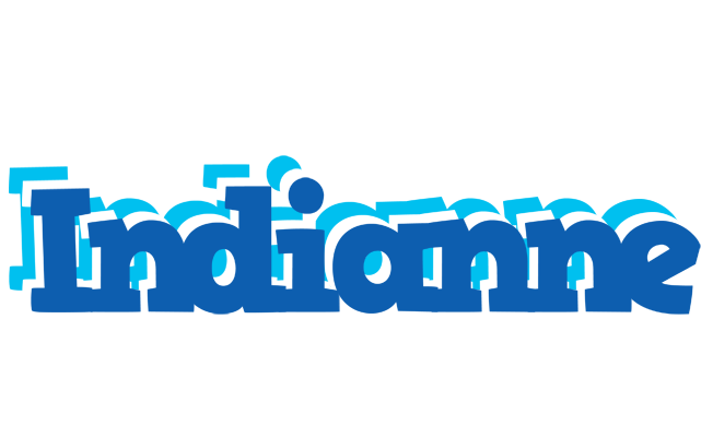 Indianne business logo