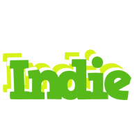 Indie picnic logo