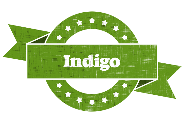 Indigo natural logo