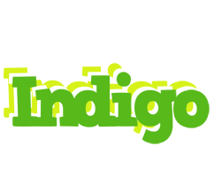 Indigo picnic logo