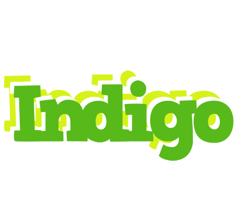 Indigo picnic logo