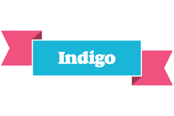 Indigo today logo