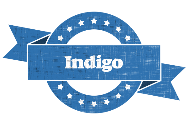 Indigo trust logo