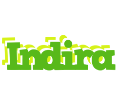 Indira picnic logo