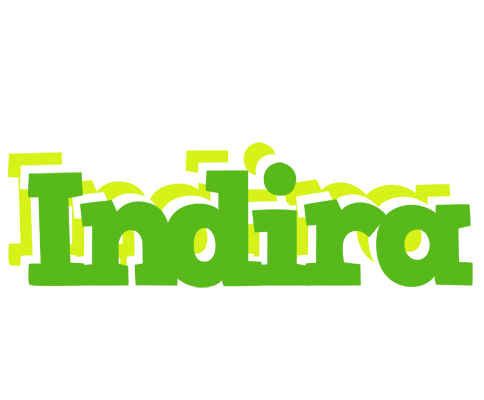 Indira picnic logo