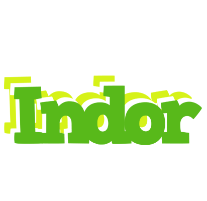 Indor picnic logo