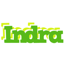 Indra picnic logo
