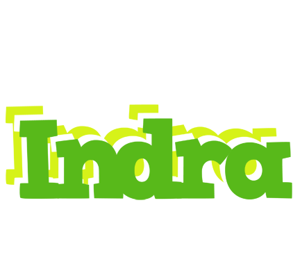 Indra picnic logo
