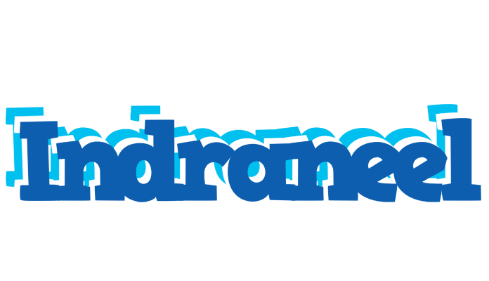 Indraneel business logo