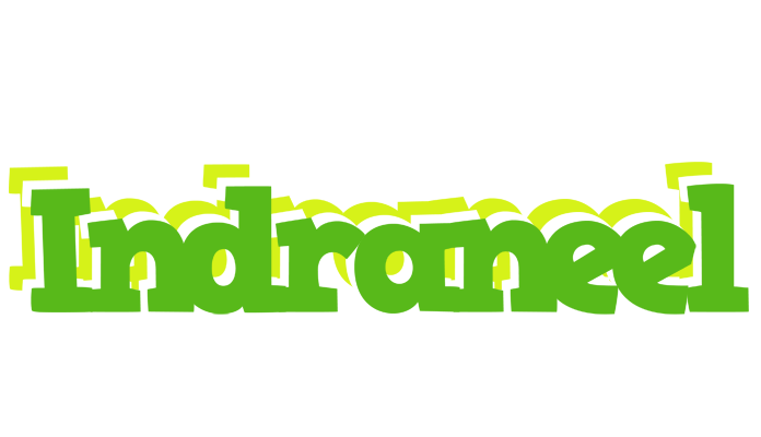Indraneel picnic logo