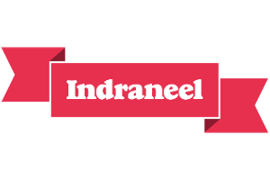 Indraneel sale logo