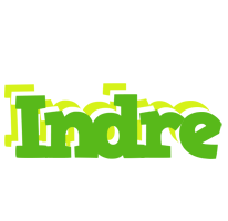 Indre picnic logo