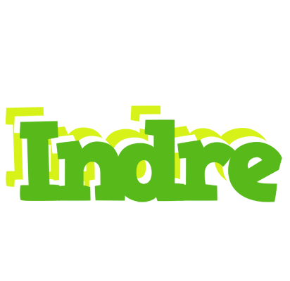 Indre picnic logo