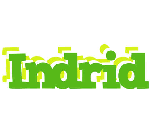 Indrid picnic logo