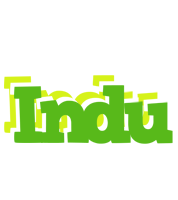 Indu picnic logo