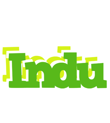 Indu picnic logo