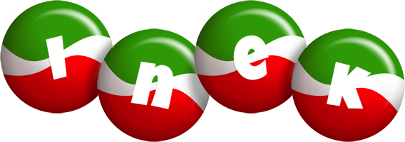 Inek italy logo