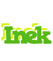 Inek picnic logo