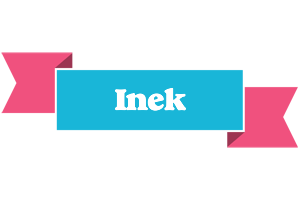 Inek today logo