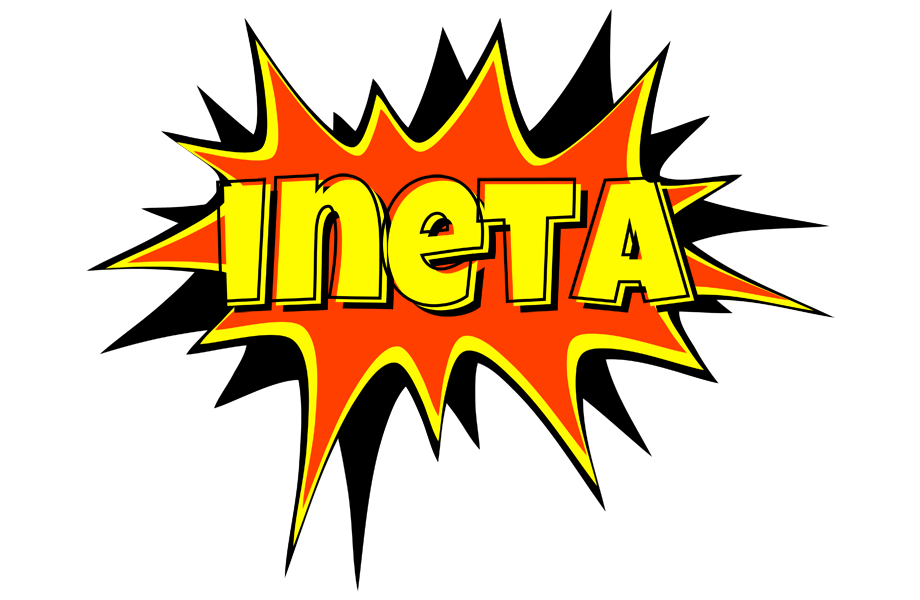 Ineta bazinga logo