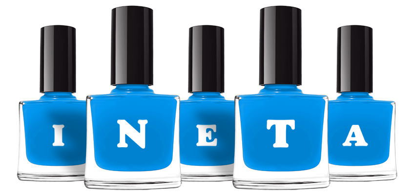 Ineta glossy logo