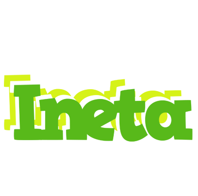 Ineta picnic logo