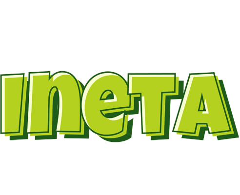 Ineta summer logo