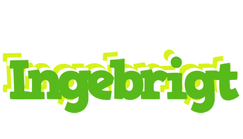 Ingebrigt picnic logo