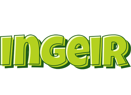 Ingeir summer logo