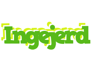 Ingejerd picnic logo