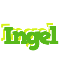 Ingel picnic logo