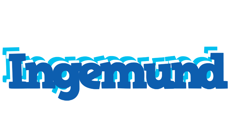 Ingemund business logo