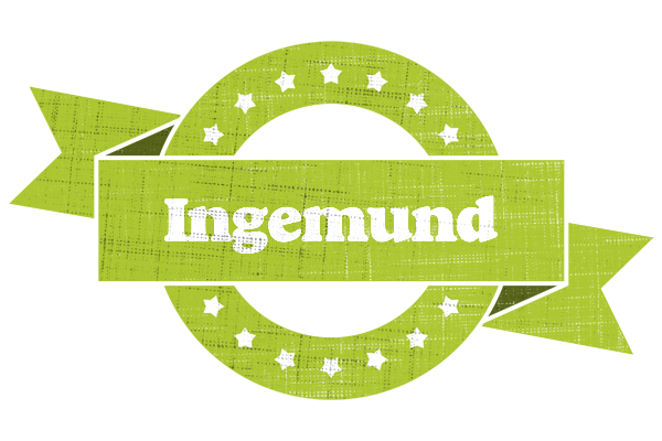 Ingemund change logo