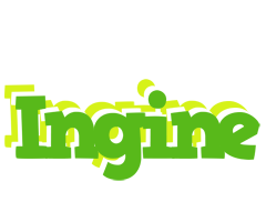 Ingine picnic logo