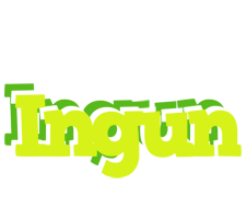 Ingun citrus logo