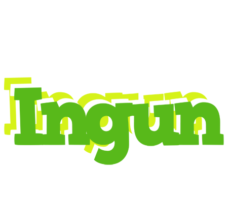Ingun picnic logo