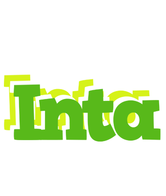 Inta picnic logo