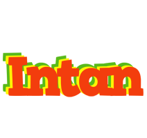 Intan bbq logo