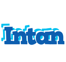 Intan business logo