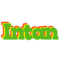 Intan crocodile logo