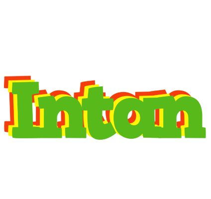 Intan crocodile logo