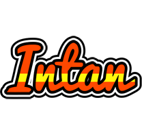 Intan madrid logo