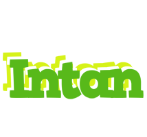 Intan picnic logo