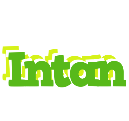 Intan picnic logo