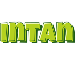 Intan summer logo