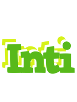 Inti picnic logo