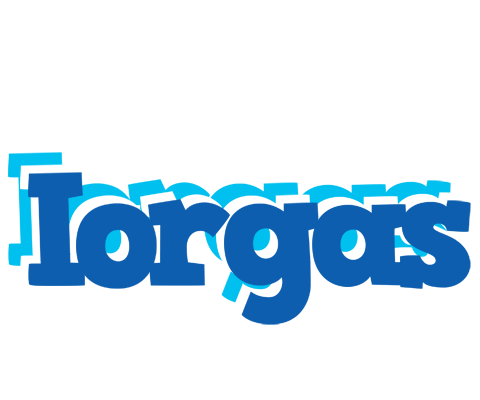 Iorgas business logo